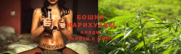 прущие грибы Балабаново