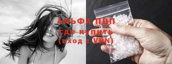 прущие грибы Балабаново