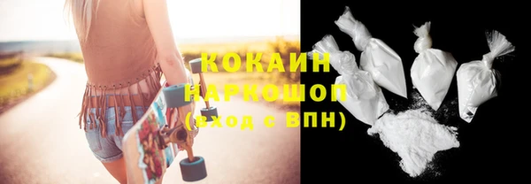 гашик Белокуриха