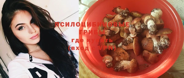 прущие грибы Балабаново